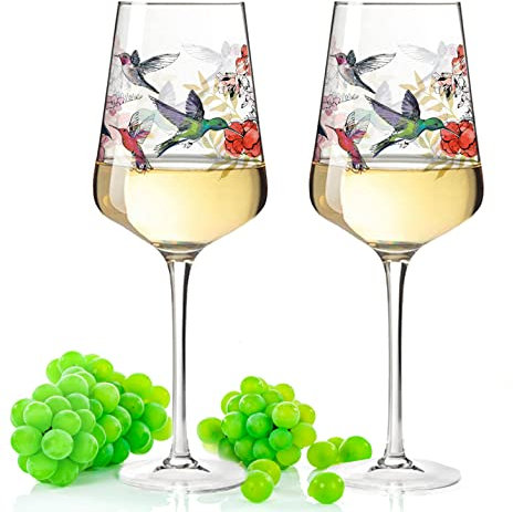 Leonardo Puccini Weingläser mit UV-Druck - Kolibri Schwarm Design - Geschenk für Weingenießer zum Grillfest Sommerfest - ein sommerliches Geschenk für Sie & Ihn für Wein Cocktail Aperitif Sangria