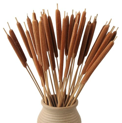 MIHUAGE Dried Natural Cattails - 20PCS for DIY Floral Arrangements and Home Office Decor - 17 Inch Length