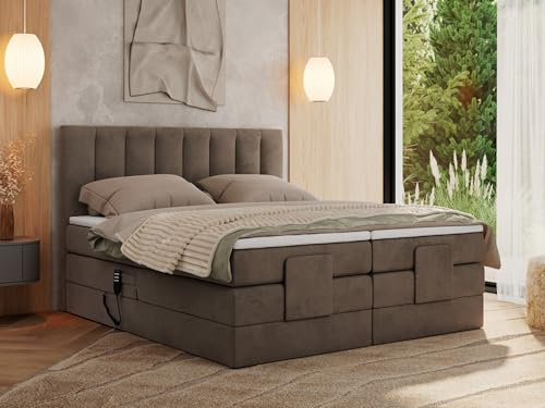 MKS MEBLE Boxspringbett 200x200 elektrisch verstellbar 7-Zonen Taschenfederkern Matratze und TopperBett mit Motor Polsterbett Motorbett - Comforto - Braun Velvet - H3