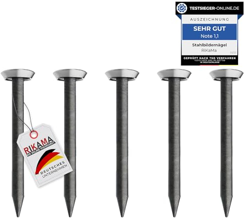 Lot de 30 Clous pour Tableau - 25 mm de Long - En Acier Trempé pour Béton, Brique, Plâtre et Bois - Suspension pour Images - Fabriqué En