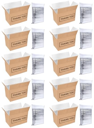 Lot de 10 boîtes d'expédition isothermes - 23 x 15 x 20 cm - Avec doublure en feuille d'aluminium - Boîtes d'expédition froides - Boîtes postales - Carton de livraison de nourriture - Accessoires (L)