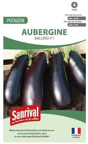 Graines Aubergine Baluroi HF1