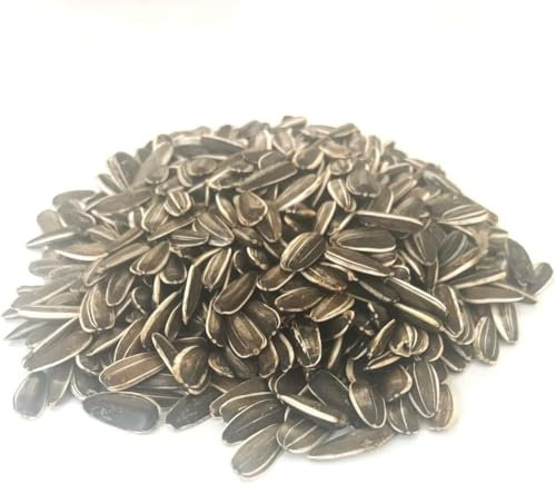 500g SMALL SUNFLOWER SEED MIXED CAGE BIRD FOOD SMSD