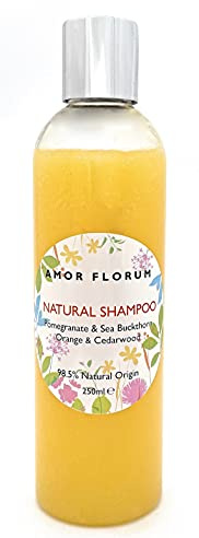 98,5% Naturel SHAMPOOING - ALOE VERA, GRENADE, ARGOUSIER, ORANGE & BOIS DE CÈDRE - 250ml par AMOR FLORUM. Sans Sulfate, Sans Parabens. Doux, Concentré. pH 5,5 Équilibré pour les Peaux Sensibles.