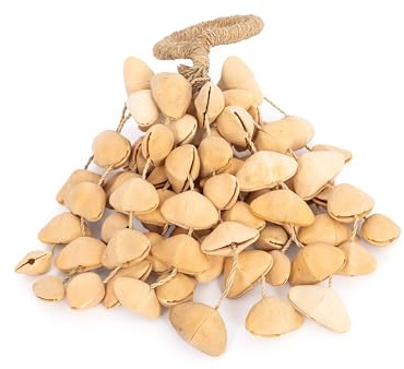 Honestly Made natural seed shaker