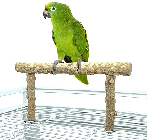 Bird Perch Stand, Bird Cage Top Perch Gym,Natural Wood Parrot Branch for Small Medium Large Parrot (M)