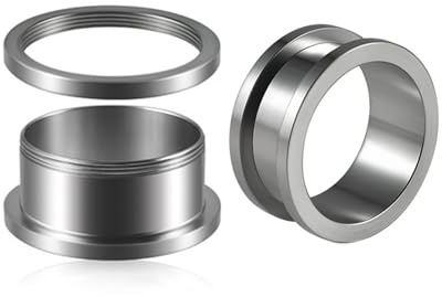 Beydodo Piercing Ecarteur Oreille 10mm, Plug Ecarteur Oreille Titane 2 Pièces Tunnels de Chair Femme Homme Tunnel À Visser