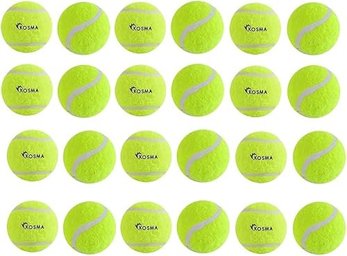 Pack of 24 Tennis Balls | Training Ball for Dogs, Super Bounce, Perfect for Begginer Cricket Training Practice (With carrying bag - Yellow)