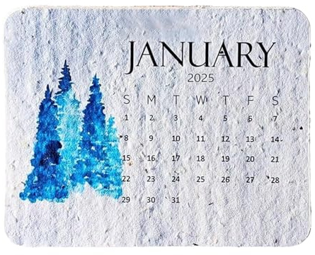 Calendario Cartaceo 2025 - Calendario Giornaliero Piantabile | Calendario Artistico Creativo Di 12 Mesi Calendario Dei Semi Piantabili 2025 | Calendario Di Carta Per Semi Di Germinazione Degradabile