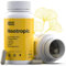 Nootrópico Natural Envase XL 60 Cápsulas | Fórmula para incrementar la energía, concentración y agilidad mental | Cafeína, Ginko Biloba, Tirosina, Teanina, Bacopa Monnieri y Vitaminas