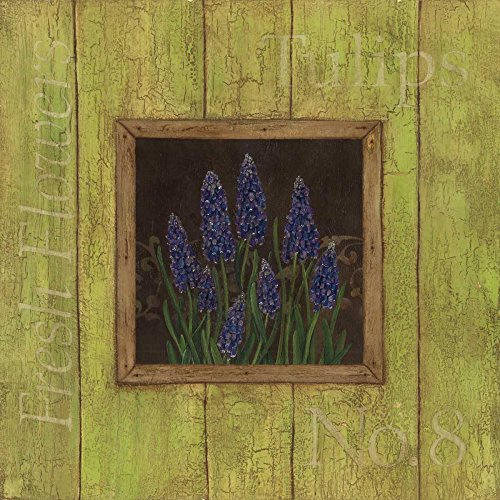 ArtExpert Grape Hyacinths by Stephanie Marrott - 12x12 Art Print Poster