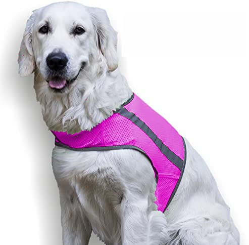 FinNero ATTE reflektierende Warnweste für Hunde – Leichte, atmungsaktive Sicherheitsweste mit verstellbarem Klettverschluss – XS, Pink