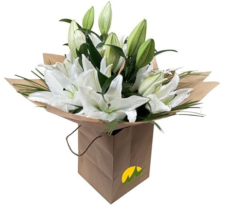 Celestial Grace White Lily Bouquet Fresh Flowers Arrangement for Birthdays, Weddings, Anniversaries, Sympathy, Get-Well, Easter, Thank-You, Indoor Decoration Delivery, Occasion Floral Gift