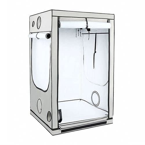 Growboxen Homebox Ambient Q120+ (Schwarz, 120x120x220cm)