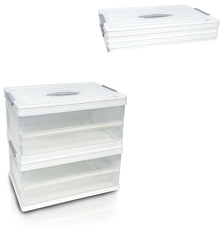S.I.C Scatola Portaoggetti Trasparente Pieghevole,Scatole Immagazzinaggio Plastica,Organizer per Bagagliaio Auto,Armadi,Casa,Dispense,Ufficio 2*(42 * 28 * 21cm, Bianco)