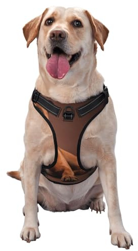 Boxer allongé et Cool,Harnais pour Animaux de Compagnie, Harnais réfléchissant réglable pour Chien,S