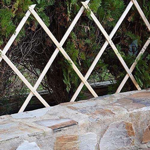 Treillis en Bois de 120 x 180 cm, pour Le Jardin et la séparation des espaces. Haie Artificielle Extensible