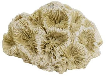 Nobby Aqua Ornaments Koralle 6,8 x 6,3 x 4 cm