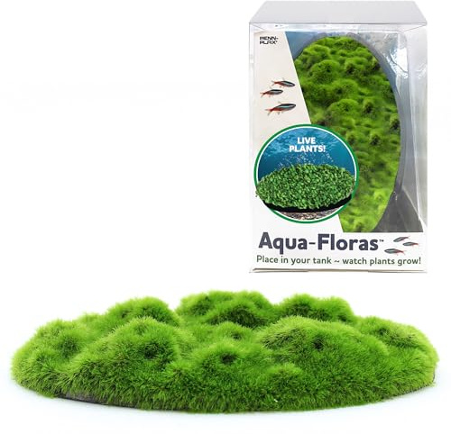 Penn-Plax Aqua Flora Moss Patch - Aquarium Living Resin Decoration with Embedded Glosso Seeds - Easy-Grow Freshwater Moss for Natural Aquascapes - Safe Resin Decor - Green, 4.3 x 2.87 x 0.8 Inches