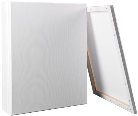 6PCS Pre-Stretched Cotton Artist Canvas Frame - Triple Primed, Acid Free, Medium Grain Professional for Acrylic and Oil Painting (20CM X 30CM)