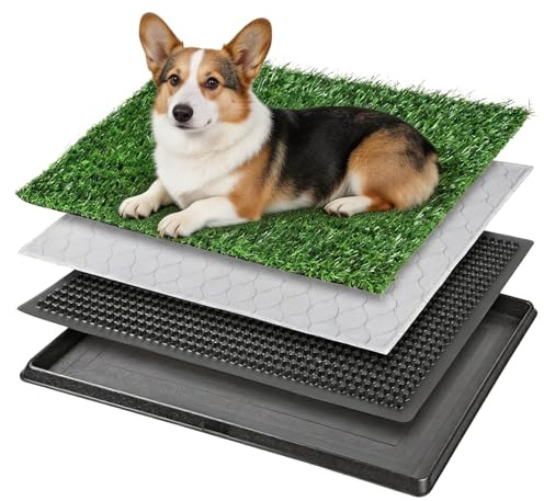 Baño para Perros con Césped Artificial Y Bandeja 50 × 40 Cm