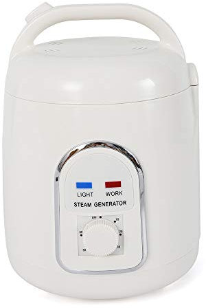 Générateur de Vapeur,Sauna Portable 220V 1.5l Vapeur Générateur Maison Vapeur Vapeur Spa Portable Vapeur Sauna Sauna Facial Visage avec Minuterie,29 * 21 * 21CM