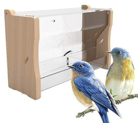Alimentador de agua para codornices,Alimentador de codorniz Dispensador de