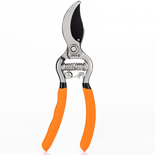 SKS 6 Tradition Jagd- & Zerwirkschere Orange