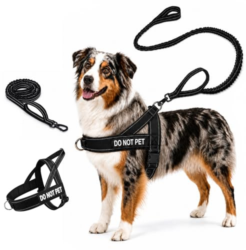 Quelcc Arnes Perro Grande Mediano, Arnés Antitirones con Correa Incluida, Chaleco Ajustable de Nailon con Anillas Pecho y Espalda, Transpirable Reflectante para Pasear Entrenar Negro Talla M