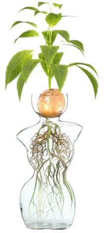 Glasvase, 3,2 x 5,5 weibliche Silhouette Vase für Glühbirnen, die Elegante klare Knospenvasen für Wasserwurzel anbauen