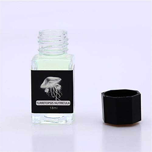 kdjsic Encre Invisible Magique sans Carbone de 18 ML pour Stylo d'immersion en Verre de Fontaine Encre Fluorescente créative Papeterie Cadeau de lumière UV