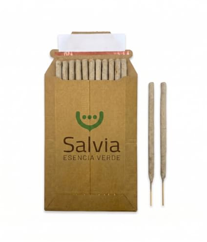 SALVIA | Palo Santo Rökelsestickor Copal 10 st (65 g) | Naturlig Resin Doft | Aromaterapi, Meditation & Hemdoft