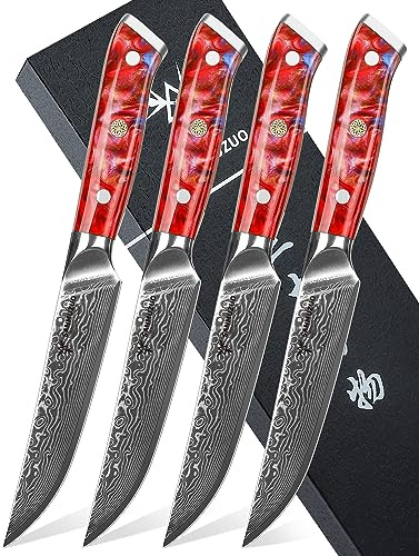SANMUZUO Juego de 4 Cuchillos de Carne, 13cm Cuchillos de Bistec Acero de Damasco Set Cuchillo Chuleteros, Afilado Cuchillos de Cocina con Mango de resina, Serie Xuan(Rojo puesta del sol)