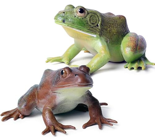 SCAHOW Realistic Tree Frog Figure Plastic Hand Painted Bullfrog Figurine Educational Rubber Animal Model Toys for Kids Children