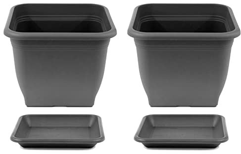 HAC24 2X Pflanztopf 23 x 23 cm Kunststoff incl. Untersetzer Eckig Anthrazit Pflanzkübel Pflanzuntersetzer Blumentopf Blumenkübel Pflanzcontainer