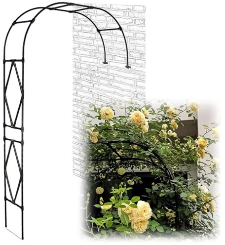 An Der Wand Montierter Metall-Gartenbogen, Halbbogen-Rosenbogen Kletterhilfe Aus Stahl, Outdoor-Kletterpflanzenstütze, Torbogen-Gartendekoration, Schwarz, 1 Packung ( Color : Black , Size : 120x240cm/