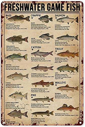 HERYNLRN Retro Tin Signs Vintage Style Fishing Art Prints Type of Fish Freshwater Game Fish Knowledge Chic Metal Poster Wall Decor Art Gift for Man Cave Boys Room Garage 8 X 12 in