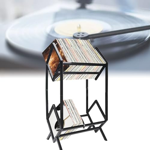 Estante de almacenamiento de discos de vinilo, estante de almacenamiento de álbumes LP de 2 niveles, organizador de estantes de exhibición de discos de vinilo para el hogar, soporte de exhibición de