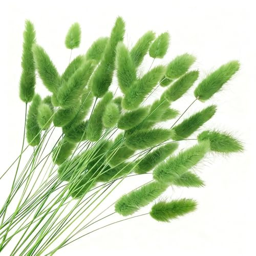 Flores de Cola de Conejo secas, Ramo Bohemio de Hierba de Pampas, Flores secas para jarrón, decoración del hogar, Dormitorio y Sala de Estar (Verde)