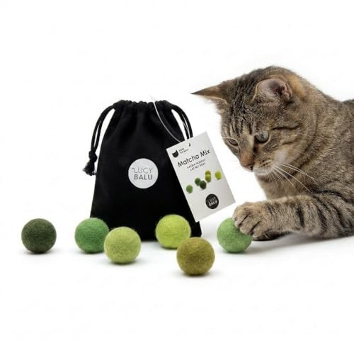 LucyBalu Bolas de fieltro para gatos, juguetes para gatos, pelotas de fieltro para gatos, juguetes de 100% lana, juguetes naturales para gatitos, bolas de juego justas de Nepal, 6 unidades, color