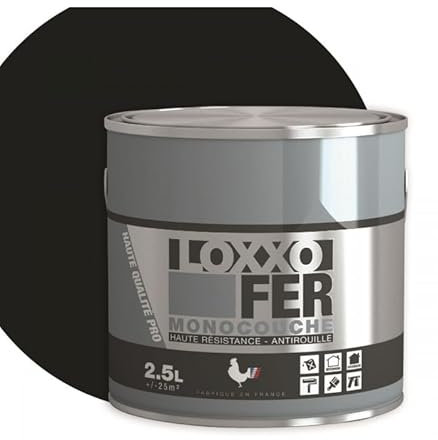Loxxo Loxxo - Pintura de hierro antioxidante – Monocapa – Alta resistencia – Interior y exterior – Color negro mate, embalaje 2,5 L