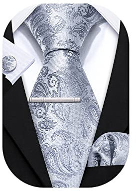 Barry.Wang Herren Krawatte Einfarbig Paisley Uni Schlips Satin Mit Einstecktuch Hochzeit Krawattenset