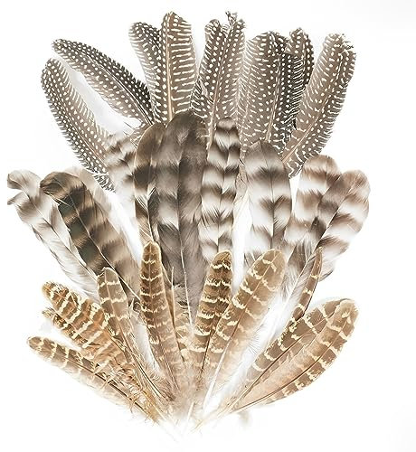 TogtherKings 30 Stück DIY Federn Natürliche,Federn Zum Basteln,Natur Federn zum Basteln Deko,3 Stil gemischt natürliche,10-20cm Länge für Basteln Zuhause Dekor DIY Faschingskostüme Party-Masken