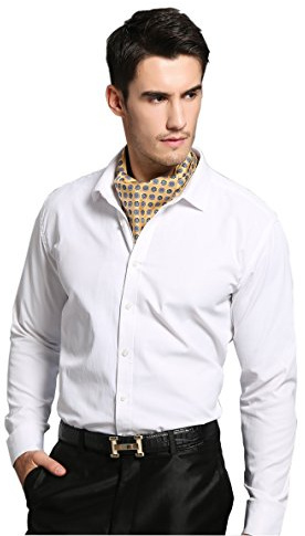 Prettystern Cravatta Ascot Uomo in 100% Seta – Sciarpa Elegante a Due Strati Lavallière da Business e Cerimonia 2. Oro