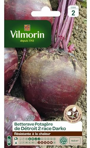 vilmorin sachet graines Betterave detroit darko