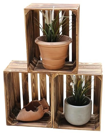 teramico Lot de 3 caisses à Fruits Vintage en Bois - Caisses à vin - Idéales pour la Construction de Meubles ou pour la décoration - 50 x 40 x 30 cm