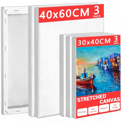 Mokani Stretched Canvas for Painting, 6 Pack 30x40 40x60cm (3 Pcs Each) Blank Large Canvas, Acid-Free Cotton 280GSM Triple Primed A2 A3 Painting Canvases for Acrylic Oil Watercolor, Artist & Beginner