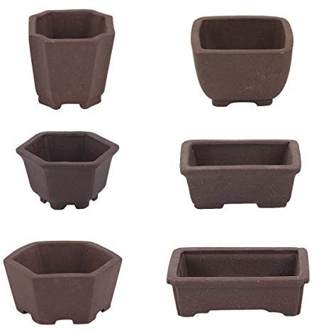 happy bonsai 6 pc Unglazed Planter Pots Mini Succulent 2 (5 cm) Natural Color