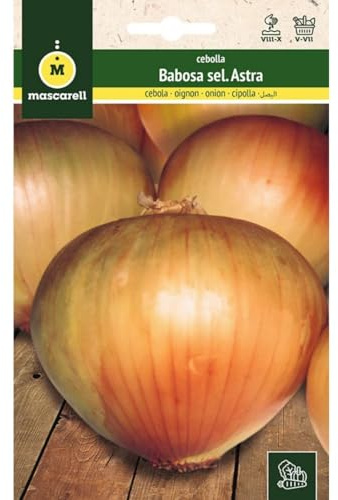 Mascarell Semillas, CEBOLLA, Semillas Huerto, CEBOLLA BABOSA ASTRA, Crea tu Propio Huerto Urbano y Cultivo en Casa, Plantas Hortícolas, 4 Gramos