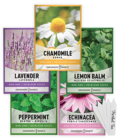 Gardeners Basics, Herbal Tea Seeds for Planting Indoors and Outdoors 5 Variety Packets Echinacea, Peppermint, Lavender, Chamomile and Lemon Balm - Great for Kitchen Herb Garden Heirloom Herb Seeds